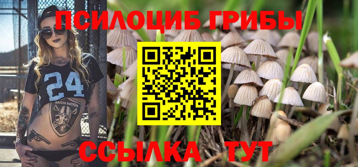 Москва  Псилоцибиновые грибы мицелий  Вход с VPN 