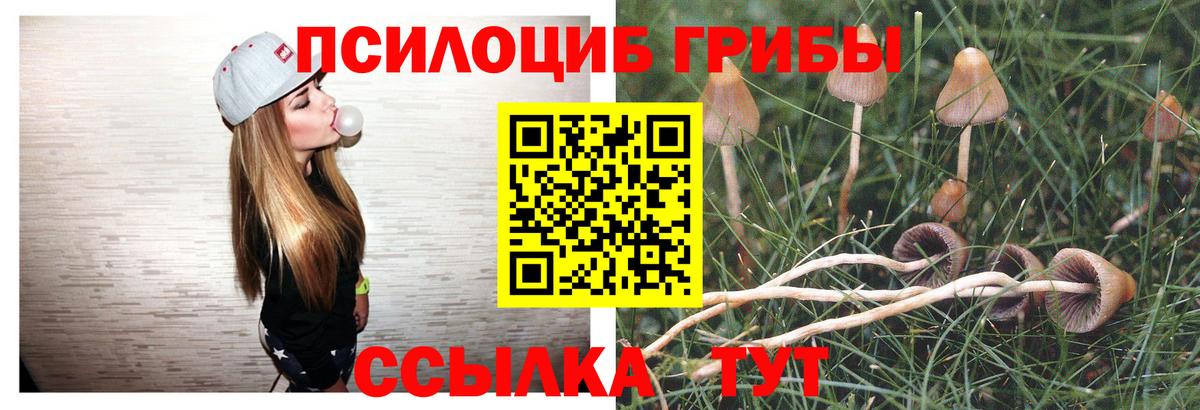 Псилоцибиновые грибы MAGIC MUSHROOMS Москва